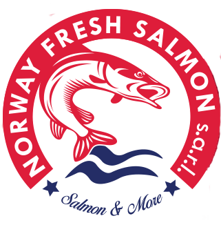 Norway Fresh Salmon